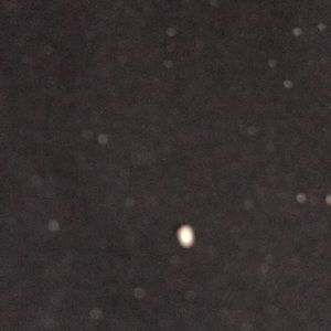 Meet your Posher, Rae